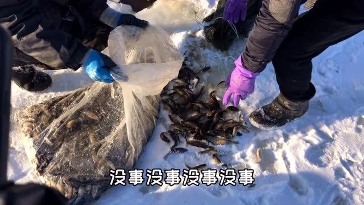 捕小鱼手机游戏怎么玩_捕小鱼手机游戏_捕捉小鱼游戏