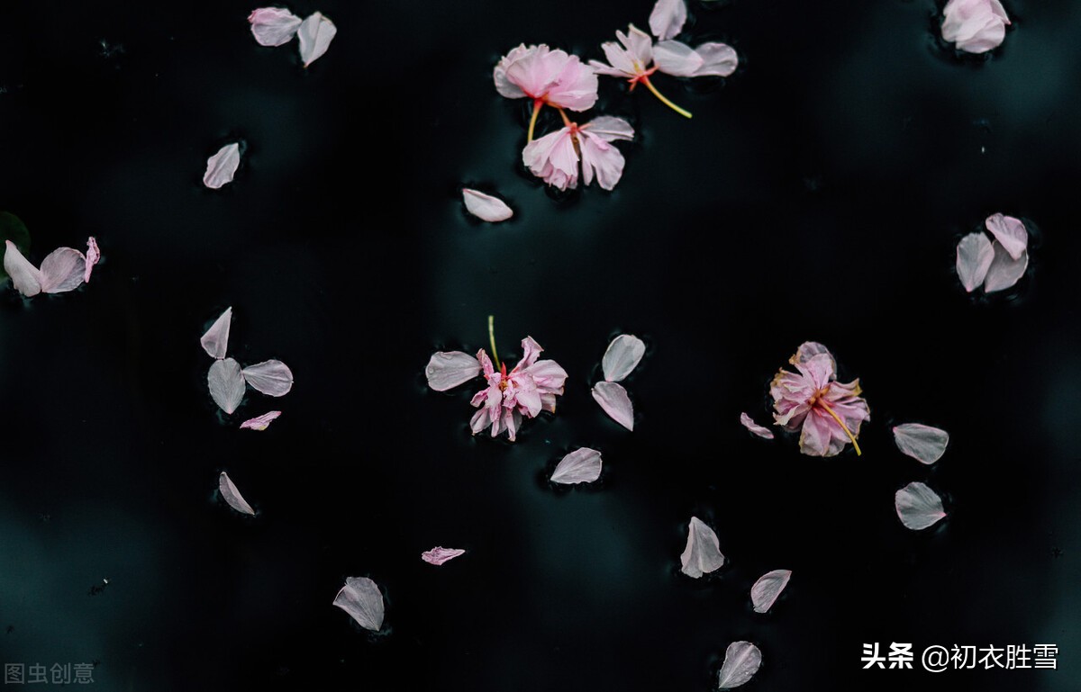 春分花草香的全诗_春分花开了吗_春分花