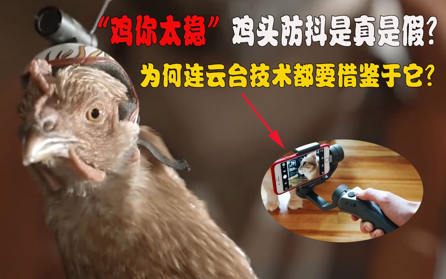 鸡吃农药后的症状_吃鸡架有什么好处_吃鸡手机游戏支架在哪