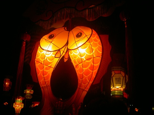 香薰山谷看花时间表_灯看花灯看花灯_看花灯