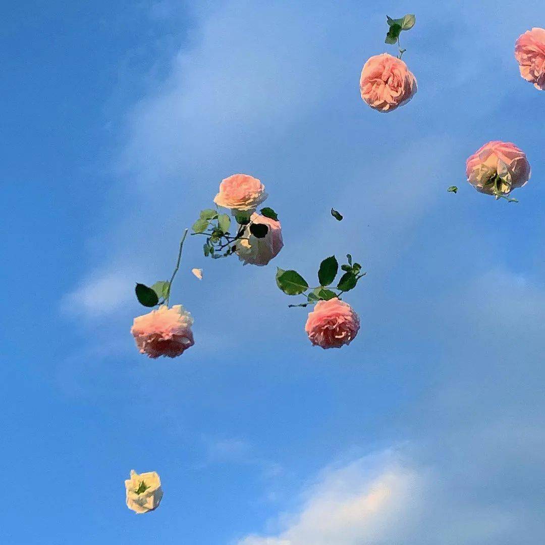 情人节月亮诗句_情人节月份_7月情人节