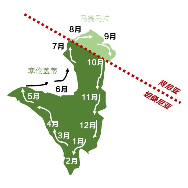 沼泽魔神王_沼地魔神王需要几_沼地的魔神王