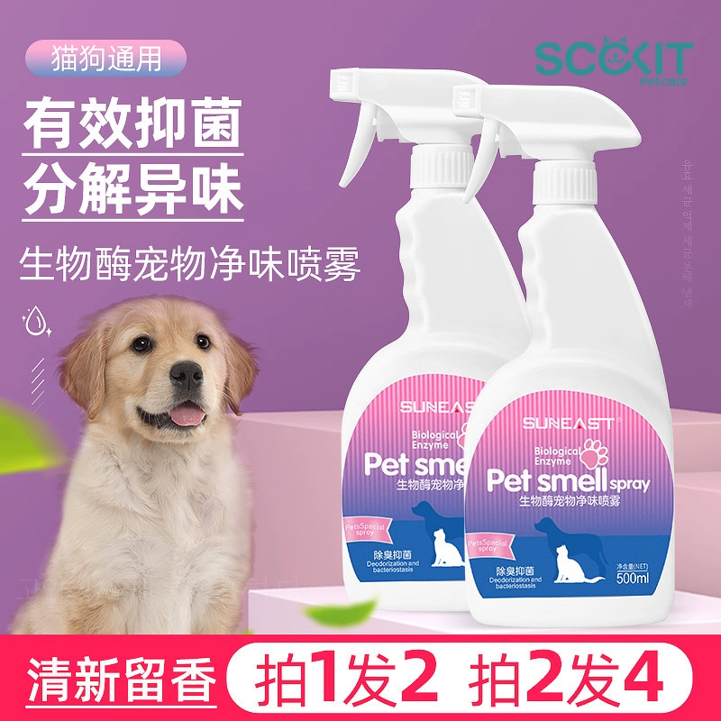 喵内_喵内出自哪部动漫_喵内噶是谁