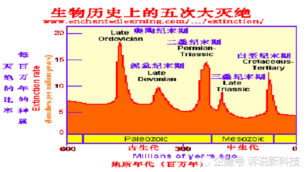 异生兽实力比超兽强吗_异生兽图鉴_异生兽