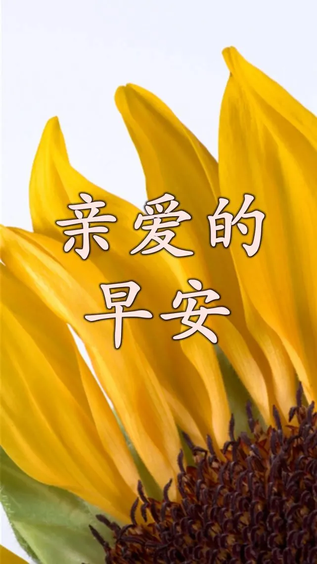 拥抱微笑歌是谁唱的_拥抱微笑歌是什么歌_一个拥抱一个微笑是什么歌