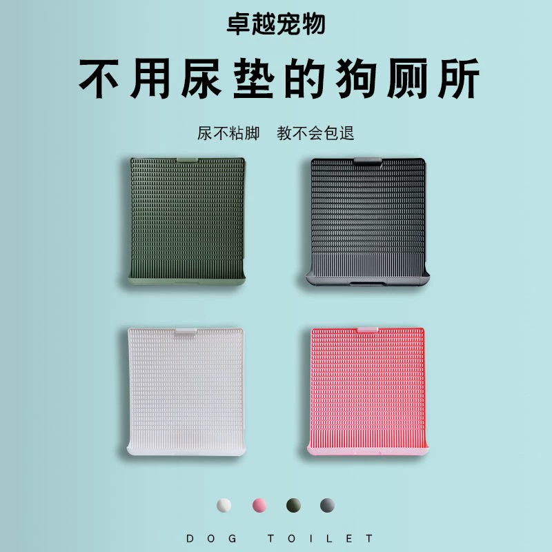 哈佛大狗_哈佛大狗最新动态_哈佛大狗2022