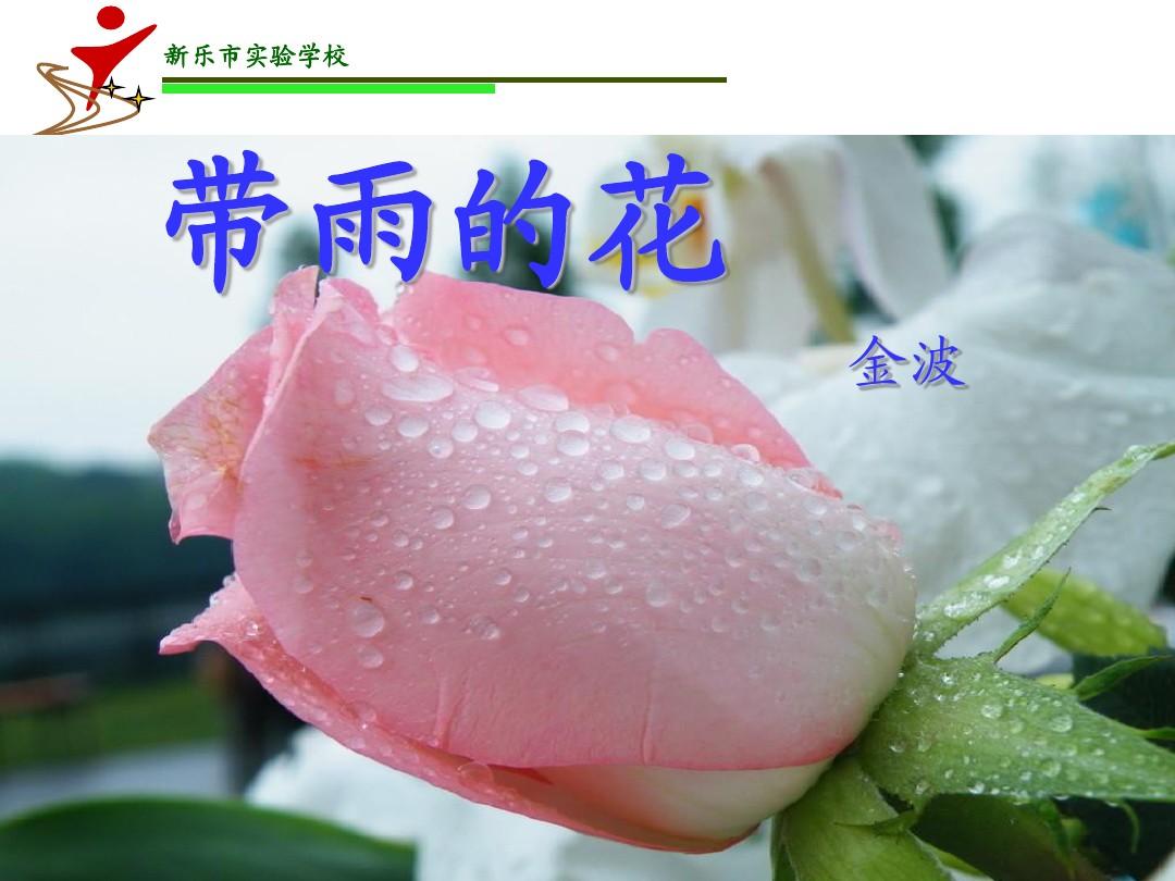 热带雨在线观看_热带惊雷免费观看_热带夜无需播放器观看