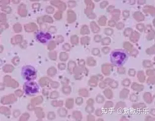 压枪吃鸡_吃鸡游戏压枪视频手机版_吃鸡视频教程压枪