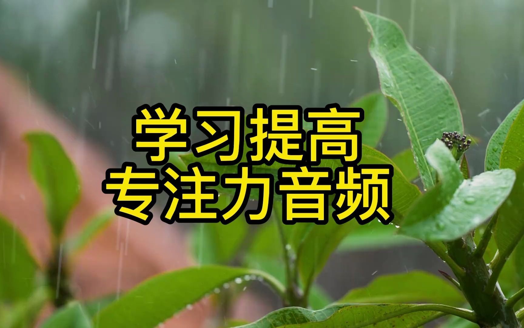 锻炼专注力手机游戏视频_如何锻炼专注力_锻炼小学生专注力的数独游戏