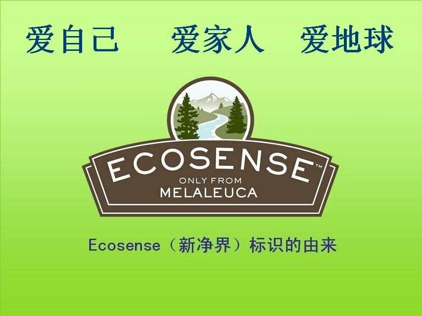 梅琳娜英文_梅琳娜英文名_琳娜英文翻译