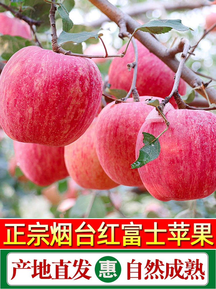 苹果12pro换屏幕多少钱_iphone12pro换屏_换苹果12pro屏幕多少钱