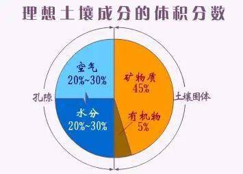 土壤的奥秘：你所不知道的世界土壤日