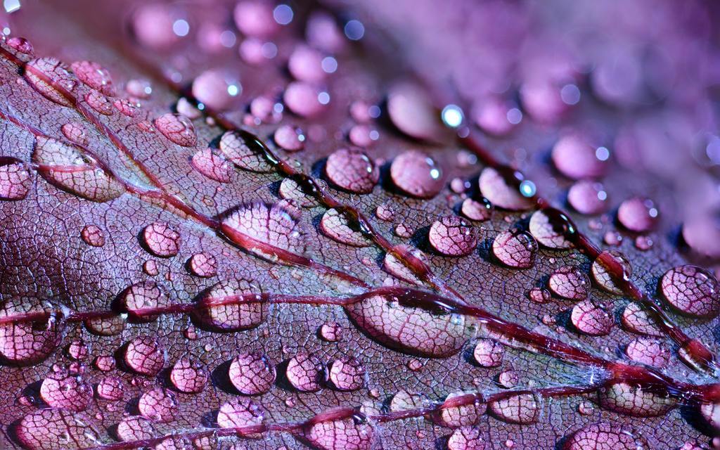 下雨清明节周记_下雨清明节的日记_清明节为什么下雨