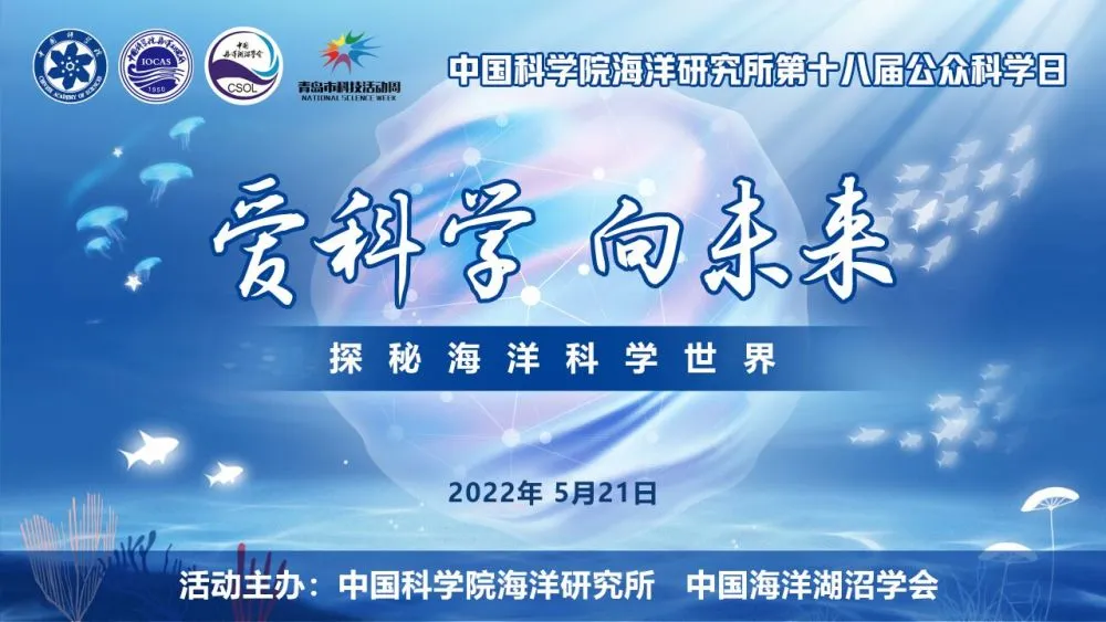 岛呗原唱_岛呗_岛呗中文翻唱