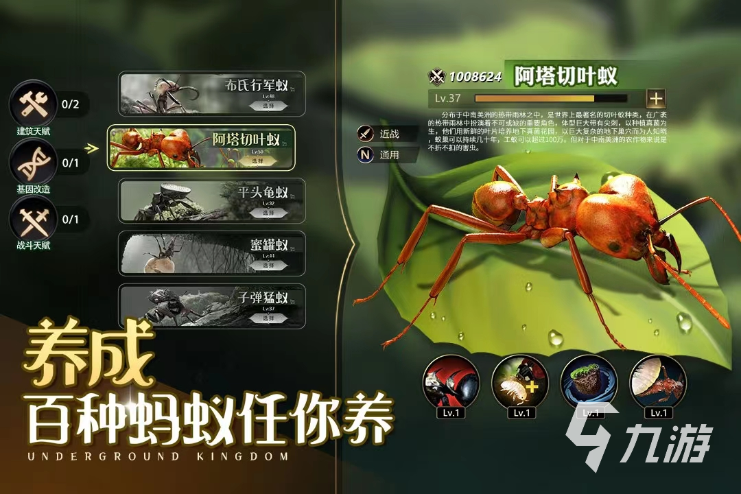 大逃杀手机游戏攻略_大逃杀app_大逃杀的手机游戏