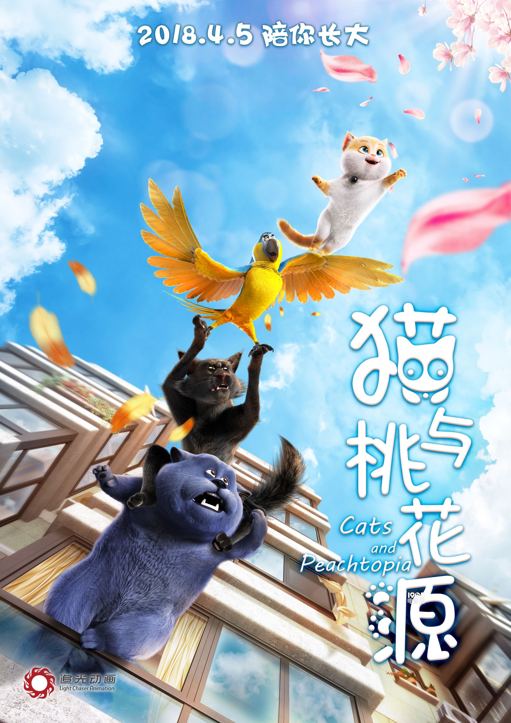 猫小乐_猫小乐现在怎么样啦_猫小乐作者简介