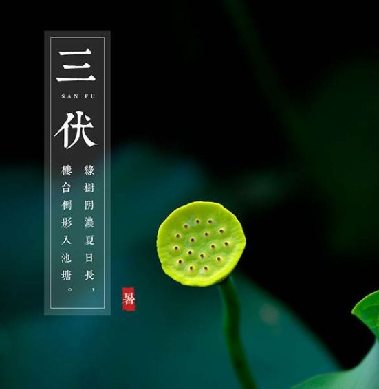 2023年三伏天从什么时候开始_三伏天从什么时候开始今年_三伏天在什么时候今年