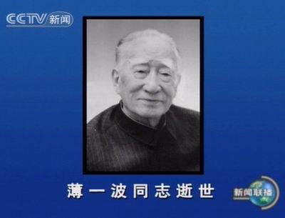 早坂_早坂麻衣资料_早坂ひとみ