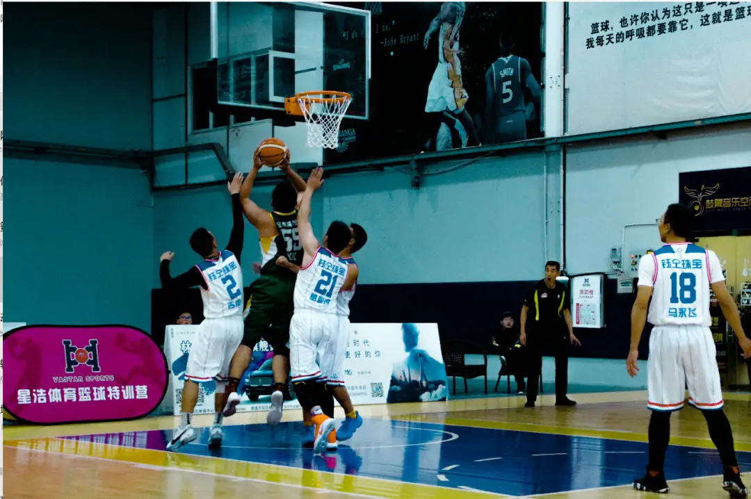 单机nba游戏 手机游戏_游戏单机手机破解版_打鸭子游戏单机手机