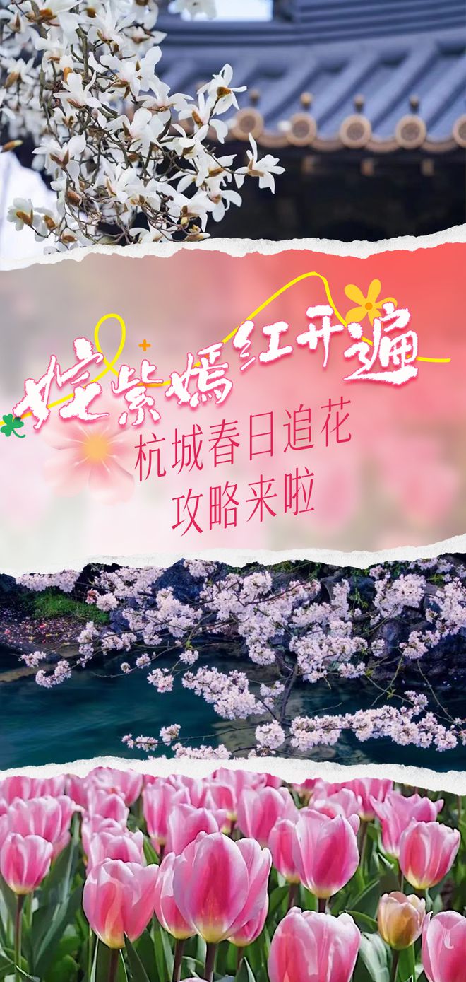 单机丛林冒险游戏_丛林单机游戏手机版下载_找一款丛林单机老游戏