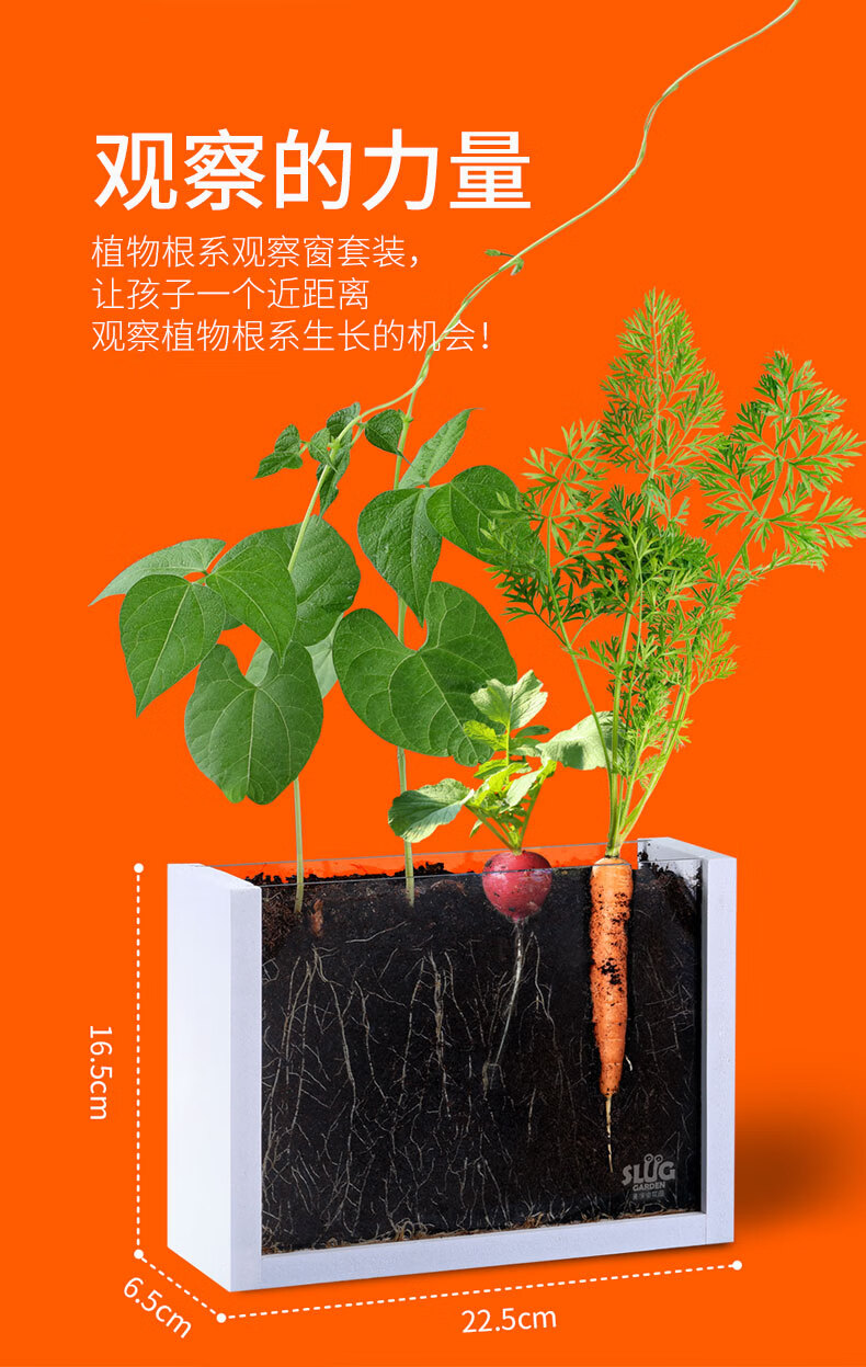 发芽游戏手机_发芽游戏网_发芽手机壁纸