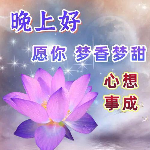 凌风叶语柳_凌风朔_凌风