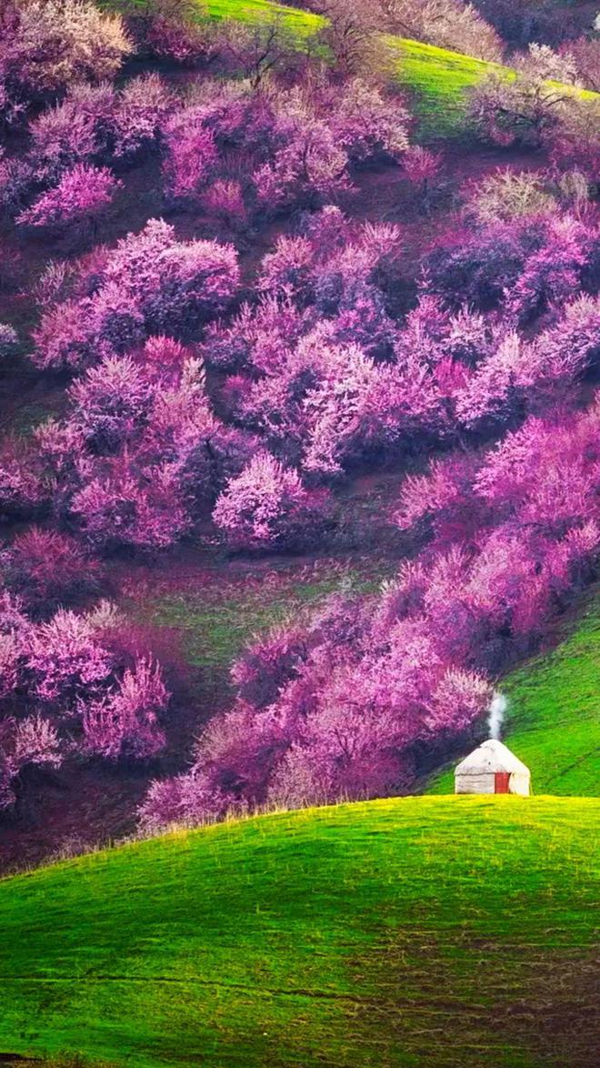 教师节是几号_教师节呼号_请问教师节