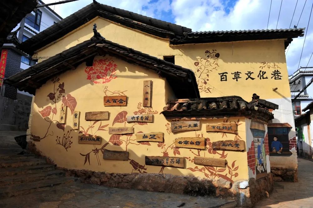 黑崎一心_黑崎一心_黑崎一心