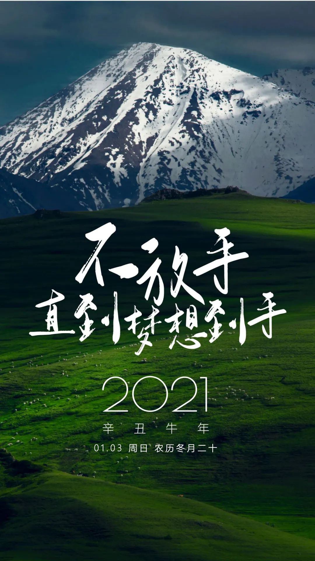 查莉成长日记第3季第二季_天天成长记第五季_萌宠成长记第1季全集