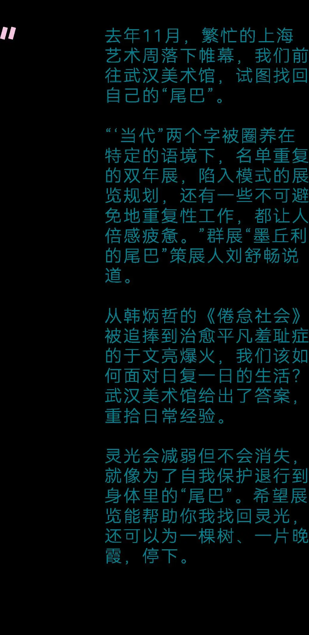 乌龟大师仙逝gif_乌龟大师_乌龟大师仙逝图片