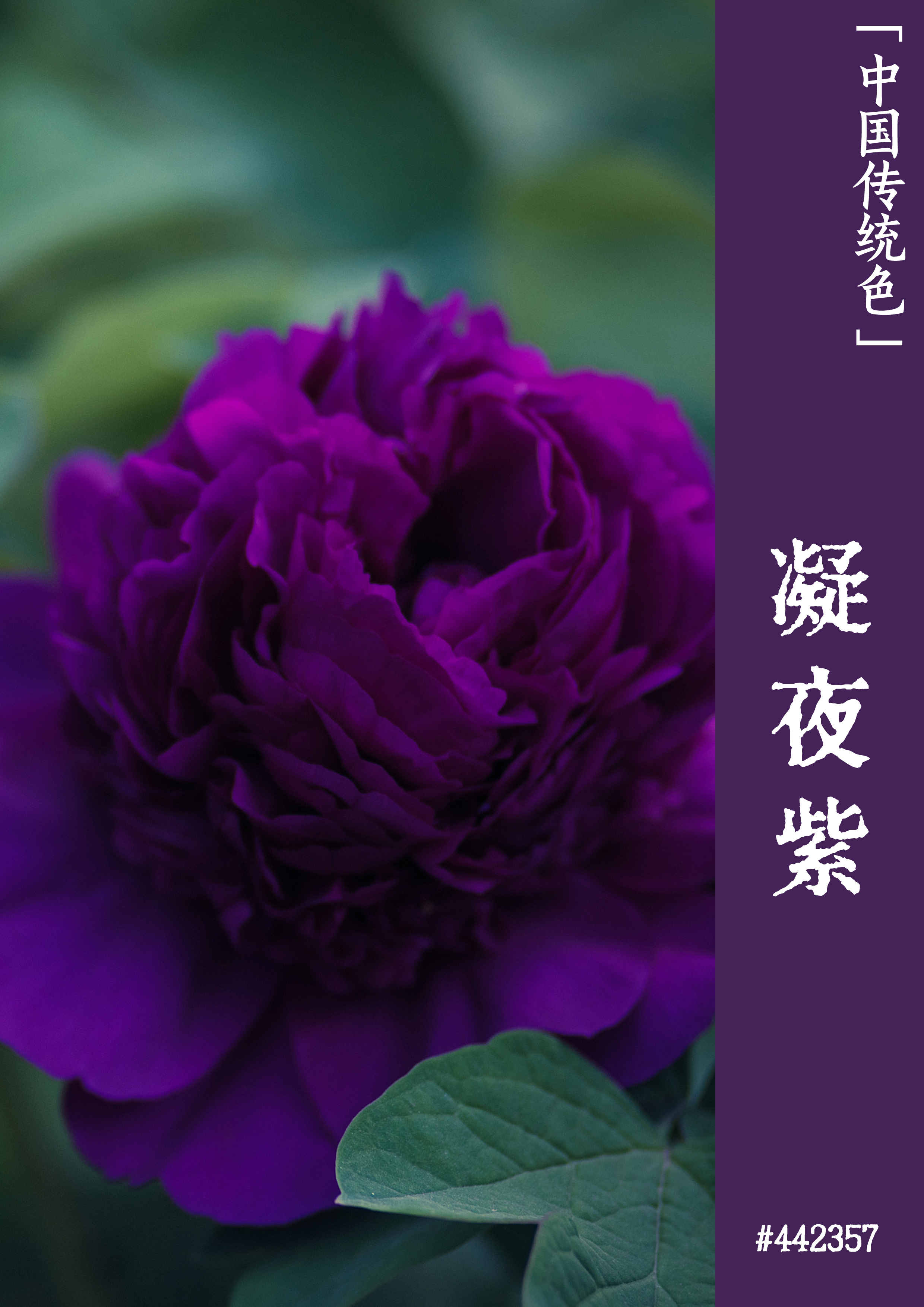 开手机游戏公司需要多少钱_多开游戏手机_开手机游戏直播需要什么
