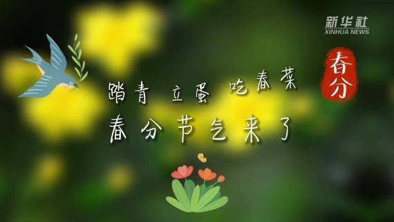 春分民间活动_春分民俗活动_春分搞什么活动