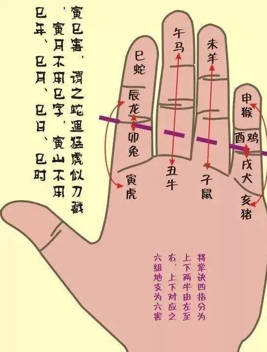 pagedown键是什么意思_键意思是什么_pagedown属于哪个键区