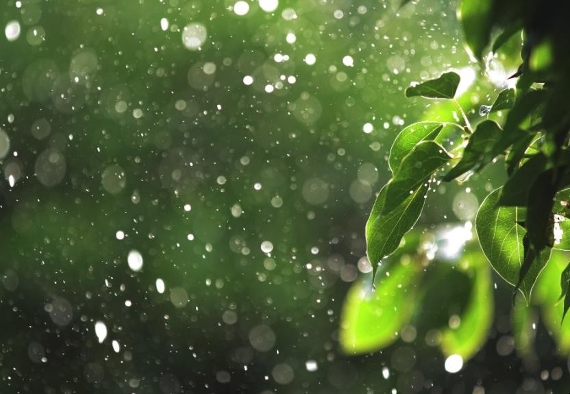 浙江几月份梅雨_2021年浙江的梅雨季节_浙江梅雨季节是几月份