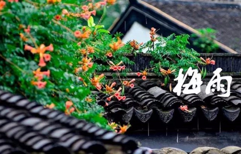 2021年浙江的梅雨季节_浙江梅雨季节是几月份_浙江几月份梅雨
