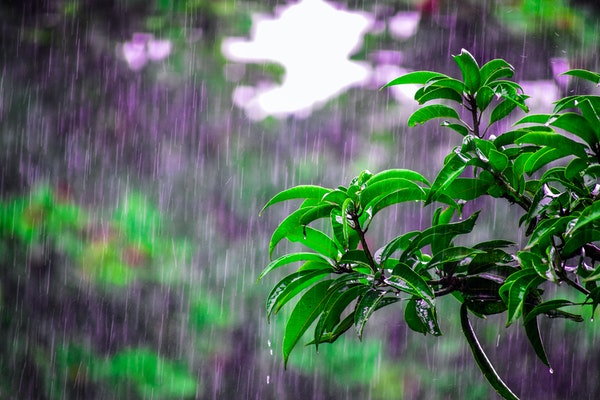 浙江几月份梅雨_2021年浙江的梅雨季节_浙江梅雨季节是几月份