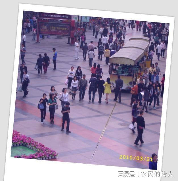 大爷玩手机照片_大爷拿手机_大爷十几部手机玩游戏被抓