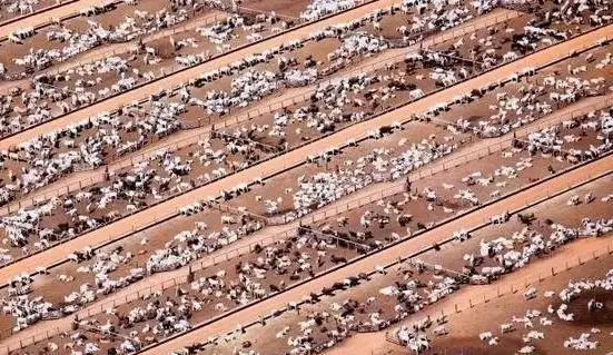 唐山大地震发生原因_唐山大地震发生在哪个区_唐山大地震发生在哪一年