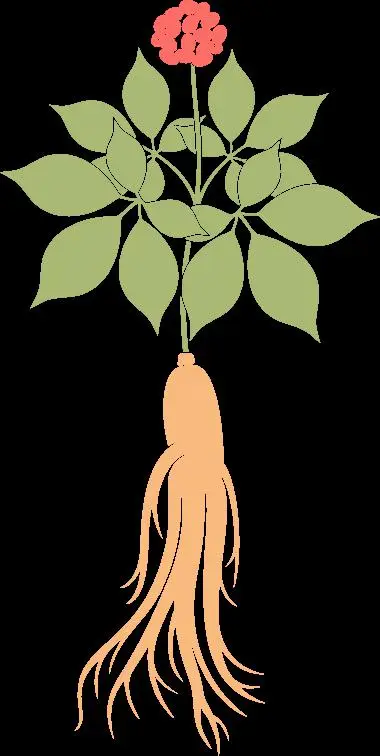 大班手指游戏《手机》_大班《手指游戏》教案_适合大班的手指游戏教案