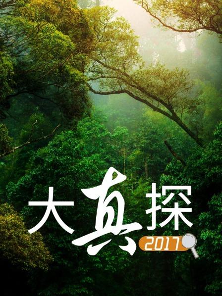 大侦探第八季在线_侦探第一季第二季在线_侦探第1季