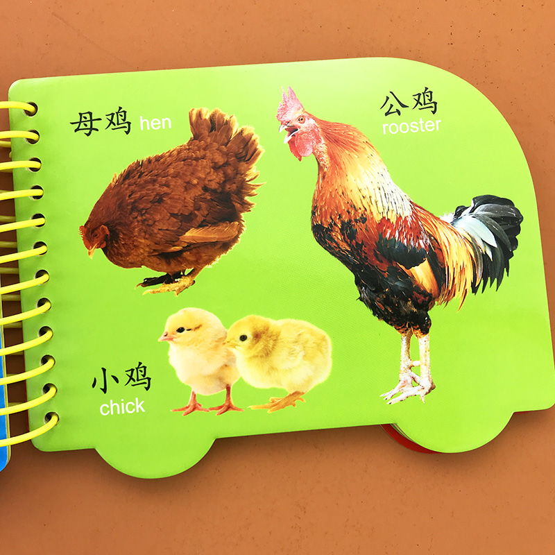 看图识物怎么用_在线看图识物扫一扫_看图识物图片知乎