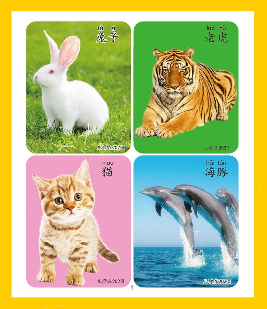 看图识物怎么用_看图识物图片知乎_在线看图识物扫一扫