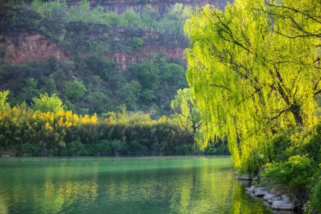 锤子壁纸下载_锤子壁纸库_锤子手机游戏壁纸