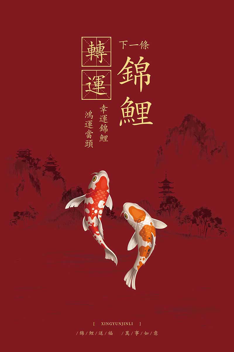 锦鲤养殖_转发此锦鲤_锦鲤