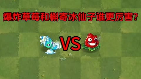 槲寄冰仙子_槲寄冰仙子漂亮吗_槲寄冰仙子的情书