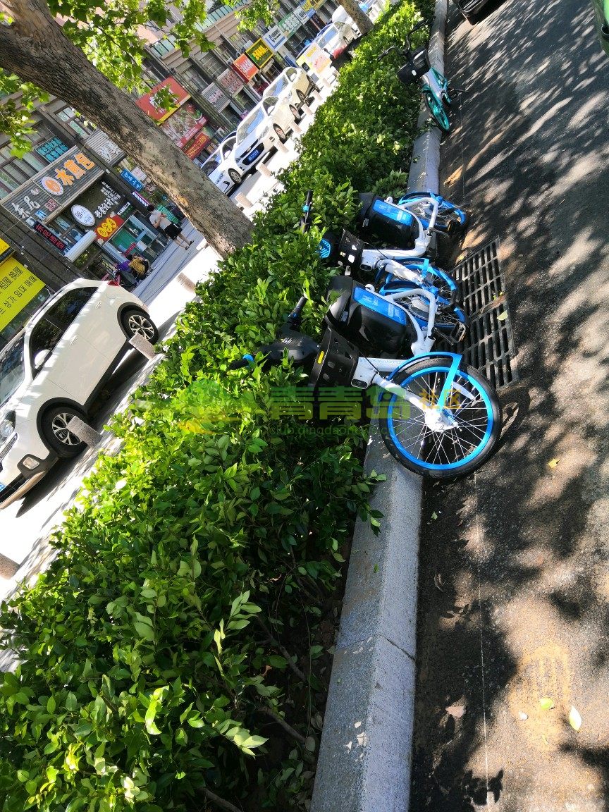 青桔单车人工客服热线_青桔单车客服电话怎么转人工_青桔单车如何联系人工客服