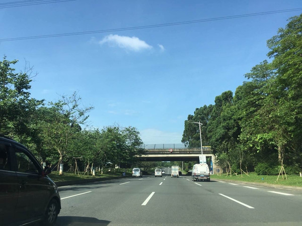 远坂葵_远坂葵_远坂葵