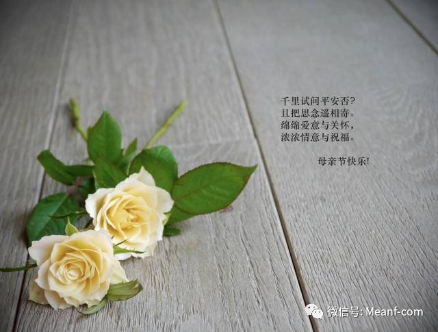 母亲节是啊一天_母亲节一年只有一天_23年母亲节是哪一天
