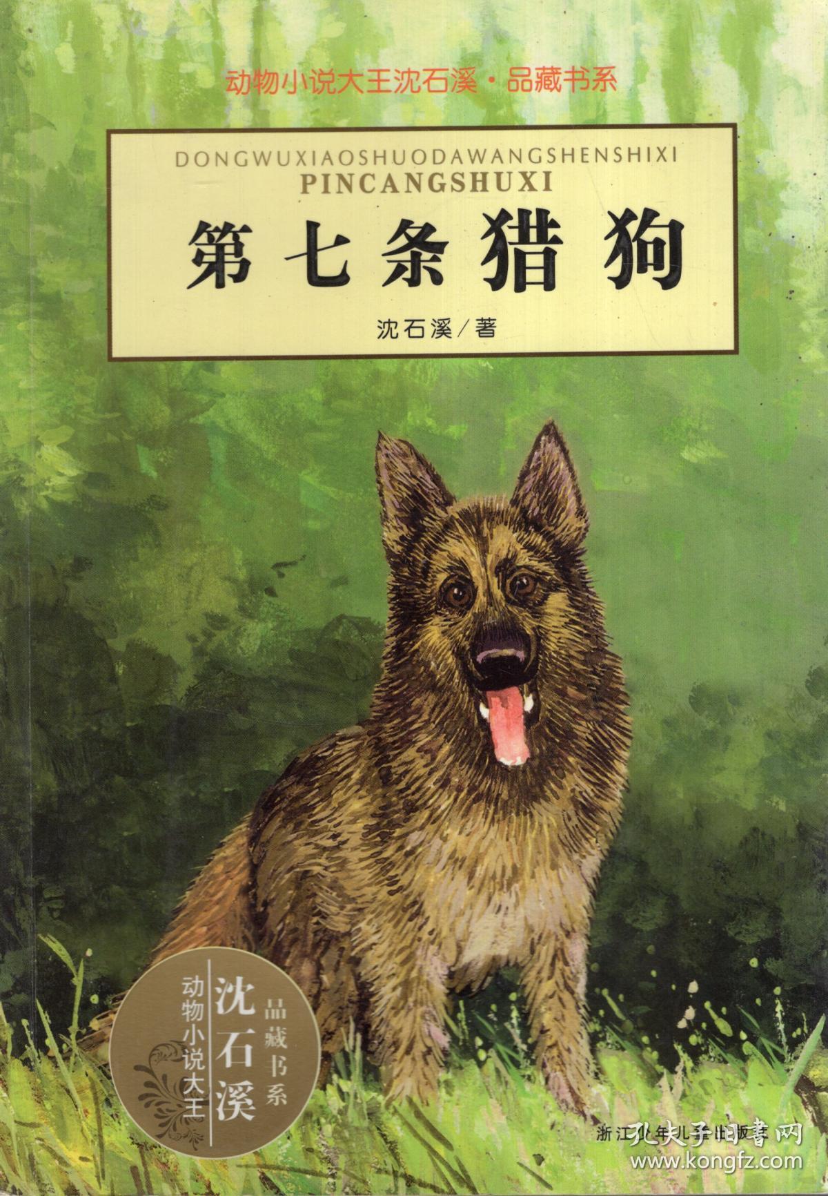 《喜羊羊与灰太狼》之虎虎生威_喜洋洋与灰太狼之虎虎_喜洋洋与灰太狼虎虎生威豹