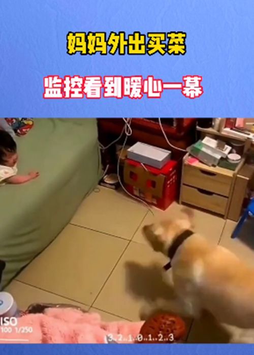 戒掉小孩玩手机游戏的好处_戒掉小孩玩手机游戏好吗_4岁小孩玩游戏戒不掉手机
